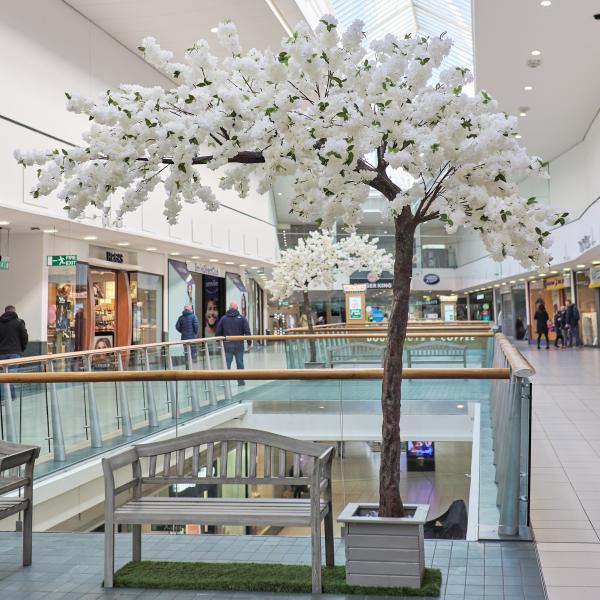 One of the blossom trees in Buchanan Galleries